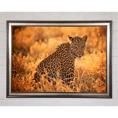 Brayden Studio Leopard Sunset Einzelner Bilderrahmen Kunstdrucke