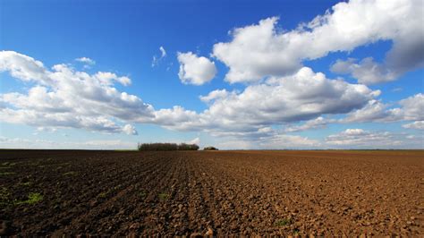 Vazio sanitário entenda o que é RHD Agro