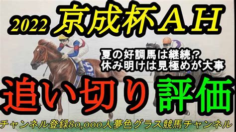 【追い切り評価】2022京成杯オータムハンデ全頭！夏競馬を使ってきた馬は好調維持？休み明けで気になる馬は？ 競馬動画まとめ