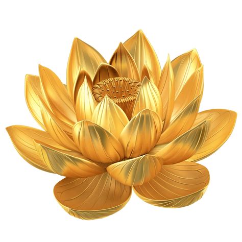 Golden Lotus Png Download Free Png Rose Png