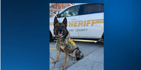 Sac County Sheriffs Office K 9 Receives Body Armor Donation