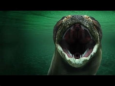 Da Li Ce Se Titanoboa Ikada Vratiti Najveca Zmija Ikada Teorije