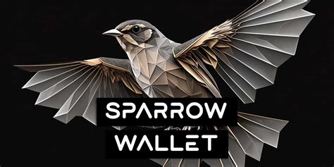 Sparrow Wallet Ultimate Quick Start Guide For Beginners 2023