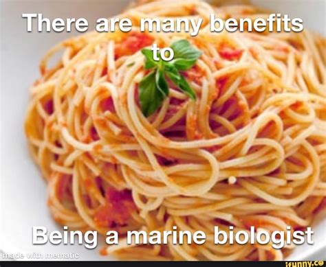 There Are Many Benefits To With Memetis A Marine Biologist Ifunny