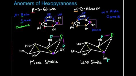 Alpha And Beta Glucose Ring Structure