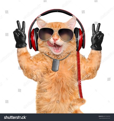 Cat Headphones Stock Photo Shutterstock