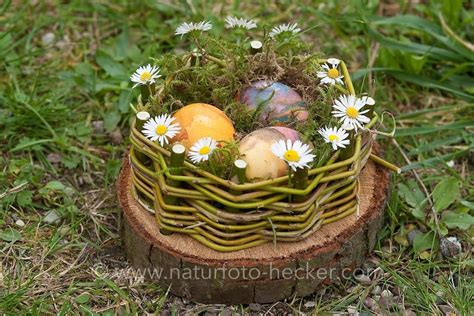 Osternest Naturfoto Frank Hecker Ostern Basteln Holz Diy