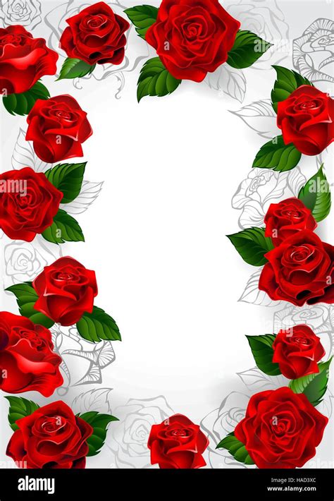 Frame Of Red Roses Blooming Roses And Outline On A White Background