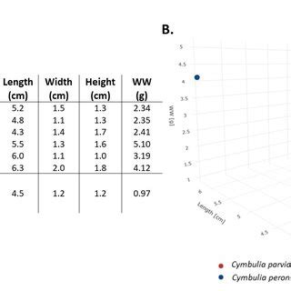 Morphometric measurements of analysed samples. A Biometric data for the ...