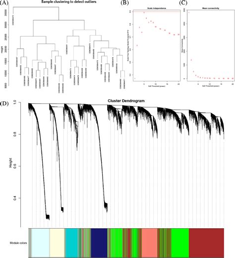 Identification Of Vital Modules And Genes Associated With Heart Failure