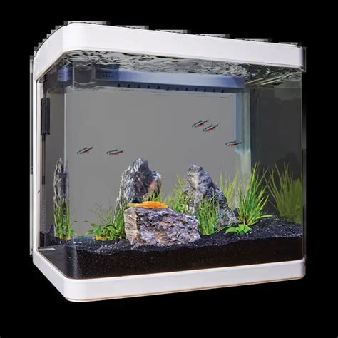 A Review Of The Imagitarium Gallon Freshwater Aquarium Kit Betta