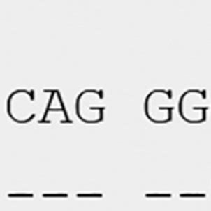 Alignment Of The Sequence Of Exon Of C With The Sequence Of