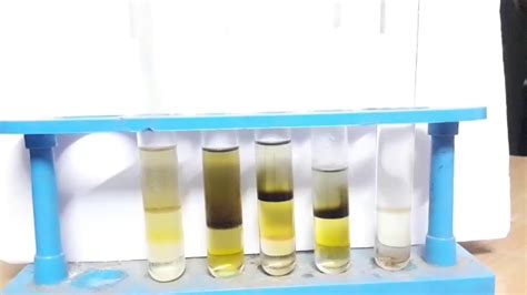 Brown Ring Test Nitrate Ion NO3 Test Science Projects And