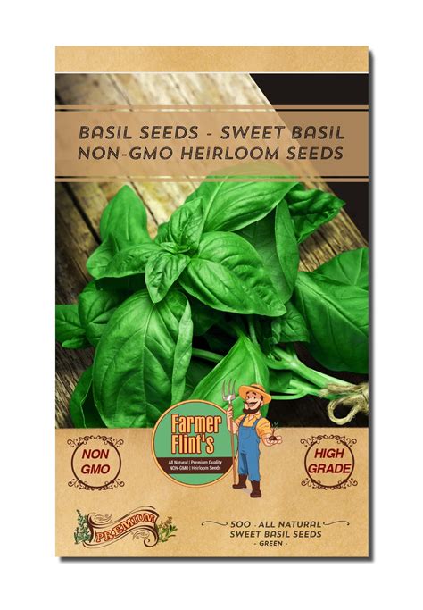 Sweet Basil Seeds MMF7 Leafy Vegetable Seeds For Planting Non GMO