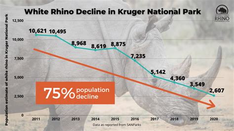 A New Poaching Problem In South Africa International Rhino