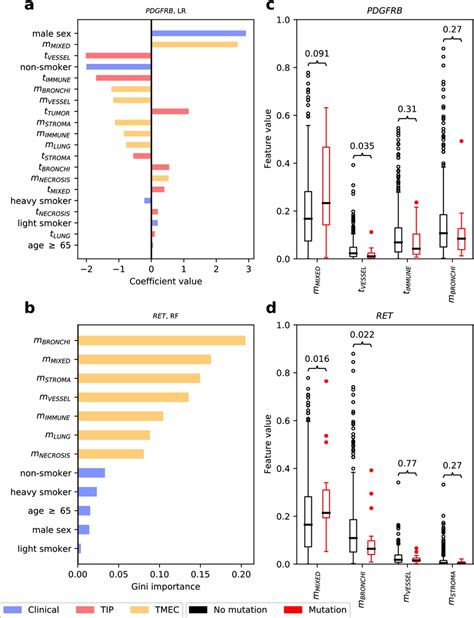 Feature Importance For The Two Best Performing Mutation Classification