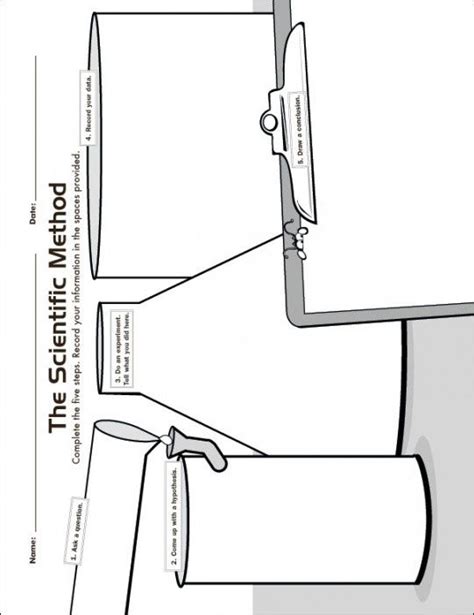 The Scientific Method Investigation Graphic Organizer For The