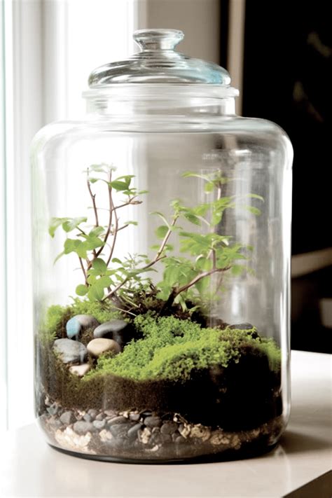 How To Make A Terrarium In Easy Steps