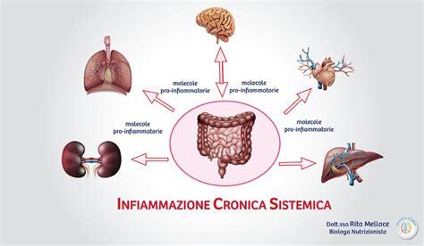 Infiammazione Sistemica Cronica Intestino Patologie Nutrizionist Dr