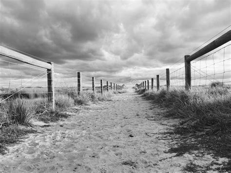 Sandy Path At South Haven Beach