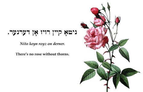 Yiddish Wit: There's no rose without thorns.