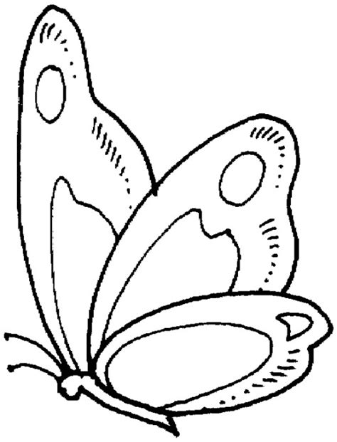 Free Printable Butterfly Coloring Pages ColoringMe