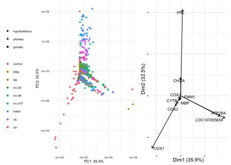 Pca Showing The Relationship Between Sex Treatment Tissue · Issue 4 · Macmanes Lab