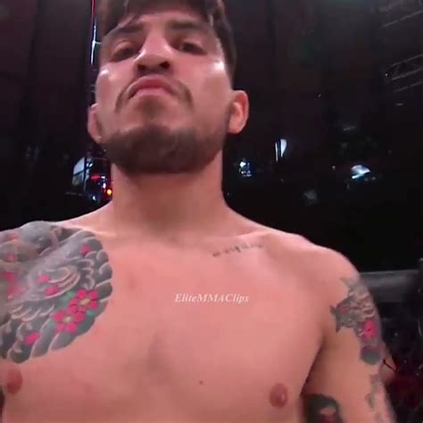 Dillon Danis Roasts Logan Paul Youtube