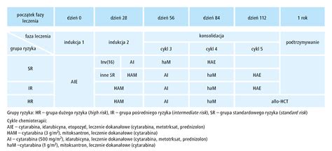 Schemat Leczenia Ostrej Bia Aczki Szpikowej Aml Bfm Podr Cznik