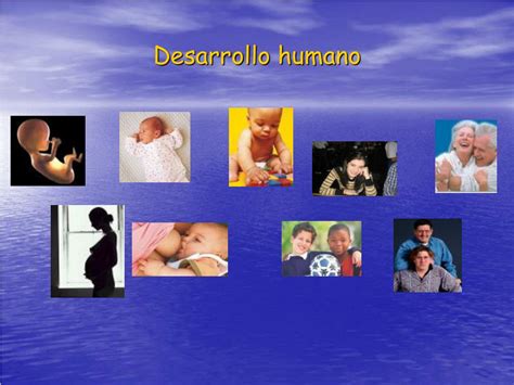 Ppt Desarrollo Humano Powerpoint Presentation Free Download Id4940632