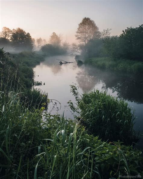 Image of Świder River by Cezary K Morga 1019829