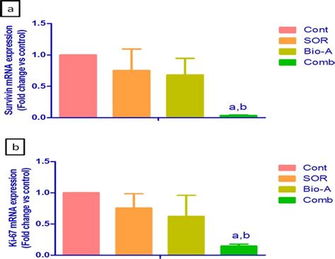 Novel Combination Of Sorafenib And Biochanin A Synergistically Enhances