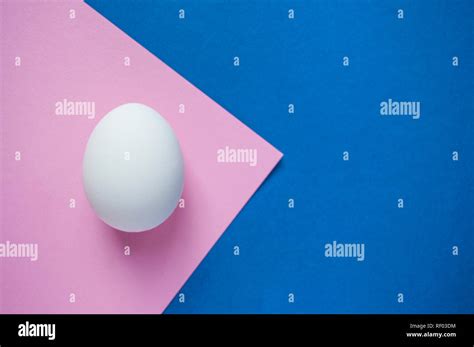 A White Single Egg On Dark Blue And Pastel Pink Background With