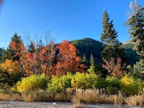 Little Cottonwood Canyon – Utah Hiking Beauty