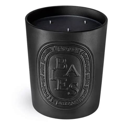 【專櫃正貨】diptyque 蒂普提克 黑色漿果香 600g 香氛蠟燭 【全新，未拆封】 蝦皮購物