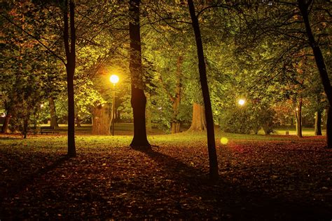 Free Park At Night Night Photos Pixabay