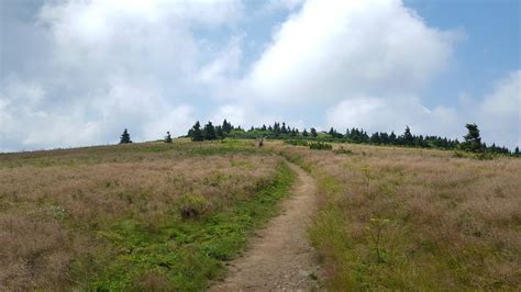 Grassy Ridge Bald - Southern Appalachian Highlands Conservancy