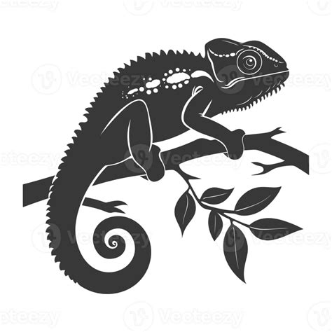 Silhouette Chameleon Animal Black Color Only Full Body 43030535 Png