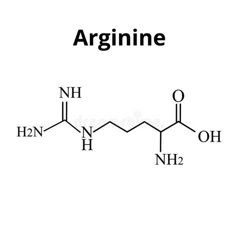 Arginine Chemical Formula Stock Vector Illustration Of Science 152115657