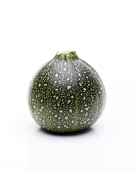 Cucurbita Pepo Subsp Pepo Convar Giromontiina Zucchini Garten Und