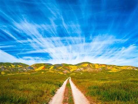 Picture California Usa Carrizo Plain National Monument Nature