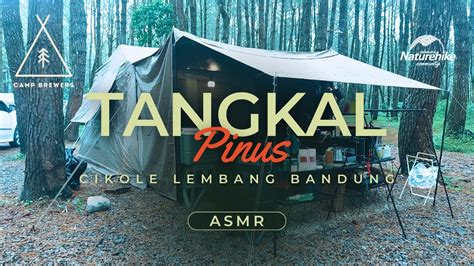 Tangkal Pinus Camping Ground Bareng Alpaca Di Cikole Jayagiri Lembang