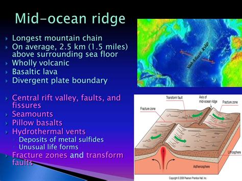 PPT - Introduction to Marine Provinces and the Ocean Floor PowerPoint ...