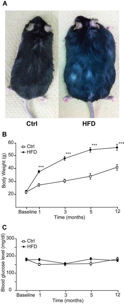 Body Weights And Blood Glucose Levels Of C57bl6j Mice Open I