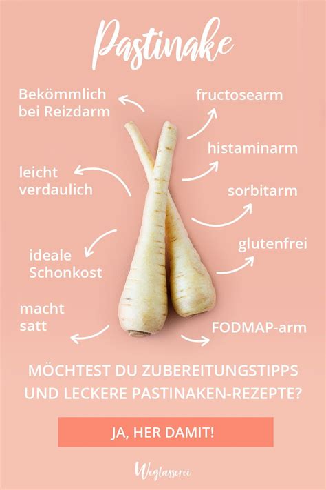 Warenkunde Mit Zubereitungstipps Und K Stlichen Rezepten Pastinake