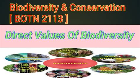 Direct Values Of Biodiversity Part 3 Lecture 15 Youtube