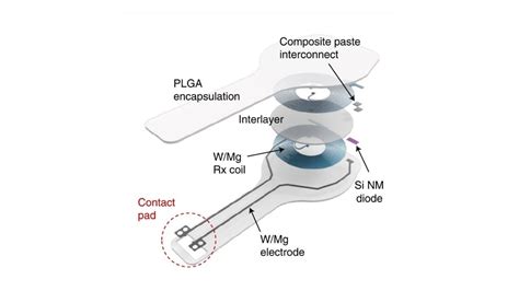 Scientists Develop Tiny Wireless Pacemaker That Dissolves In The Body India Today