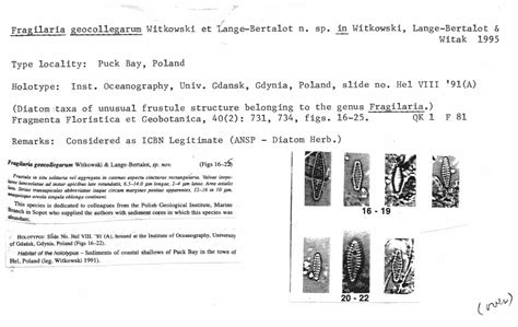 Image Original Description Species Diatoms Of North America