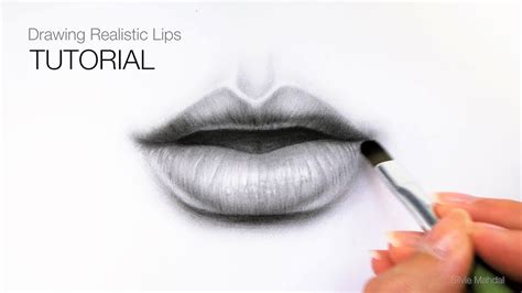 How To Draw Realistic Lips And Mouth Youtube