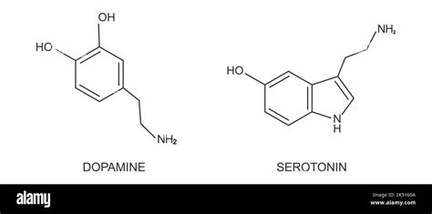 Dopamine And Serotonin Compound Icons Happy Or Feel Good Hormones